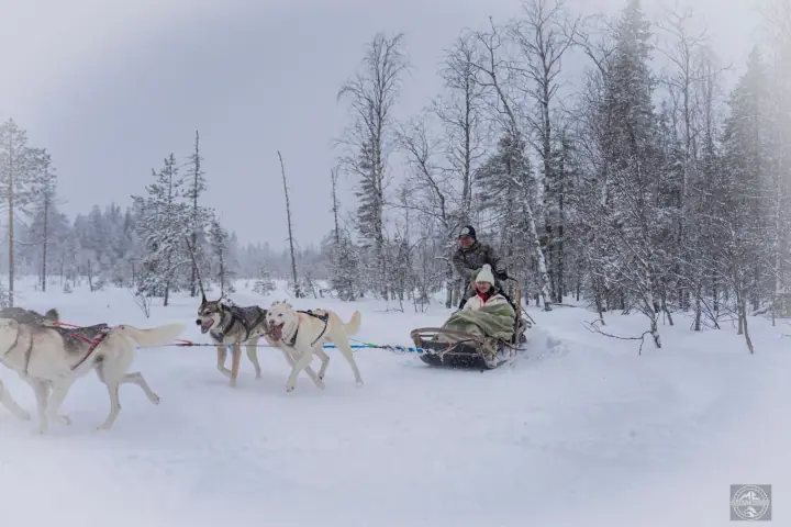 A sled dog team pulling two guests through falling snow