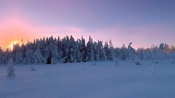 Sunset over a snow-covered forest with a distant sled dog team