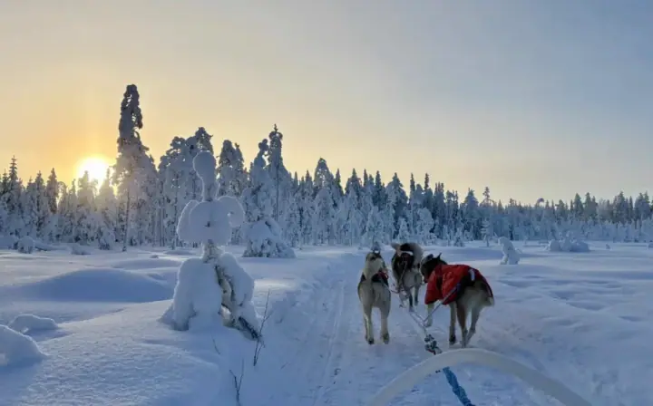 Sled dogs running toward the sunset on The Wilderness Church trail